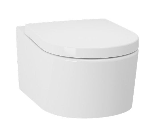 wall hung toilet bowl