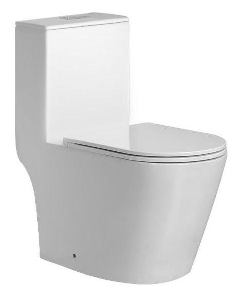 e+nt one piece toilet bowl