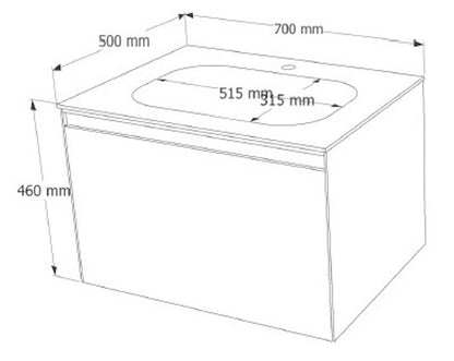 E+NT LD-3853MBG 70cm Stainless Steel Basin Cabinet (Matt Brown Gold)