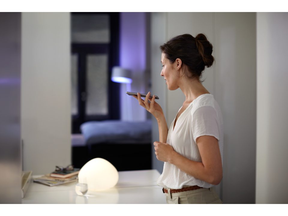 Philips HUE Bridge