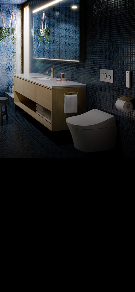 <h1>Everything Your Bathroom Needs, Wrapped in One Deal.</h1>