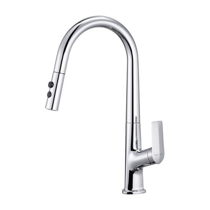 ent Pull-Out Kitchen Sink Mixer 21530, Chrome