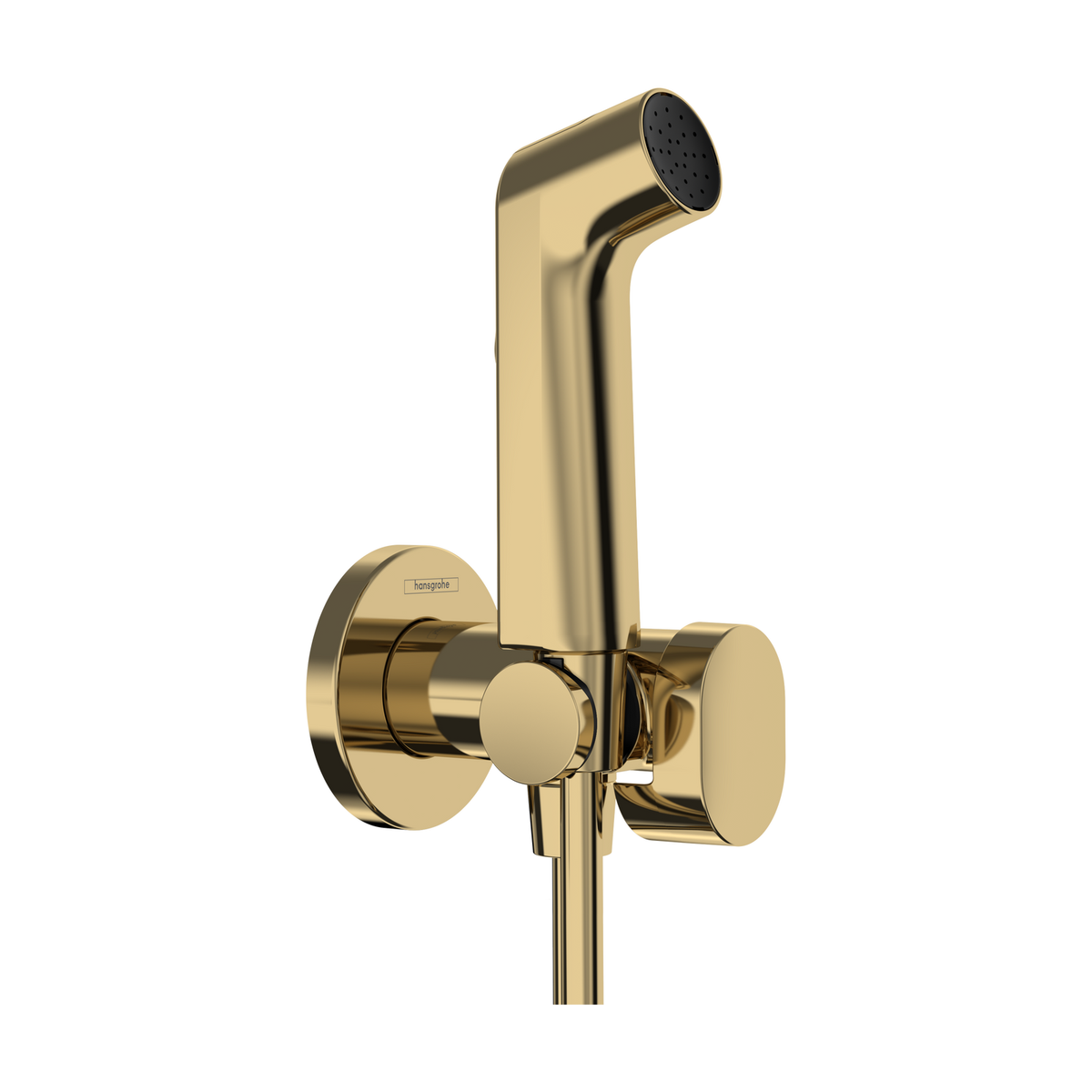Hansgrohe Bidette Hand Shower Set 29230990