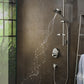 toilet with hansgrohe 26038009 hand shower head