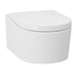 wall hung toilet bowl