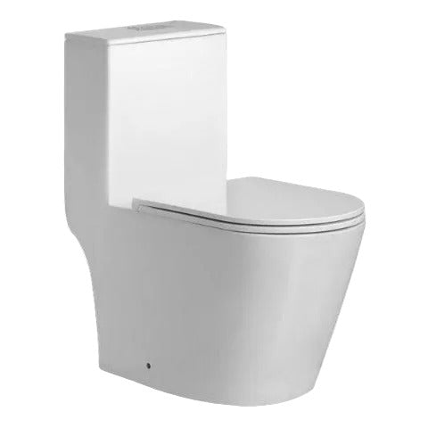 e+nt one piece toilet bowl