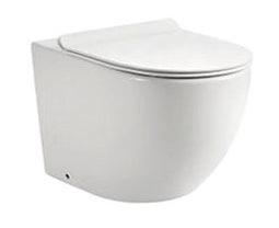 wall hung toilet bowl