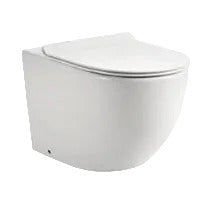wall hung toilet bowl
